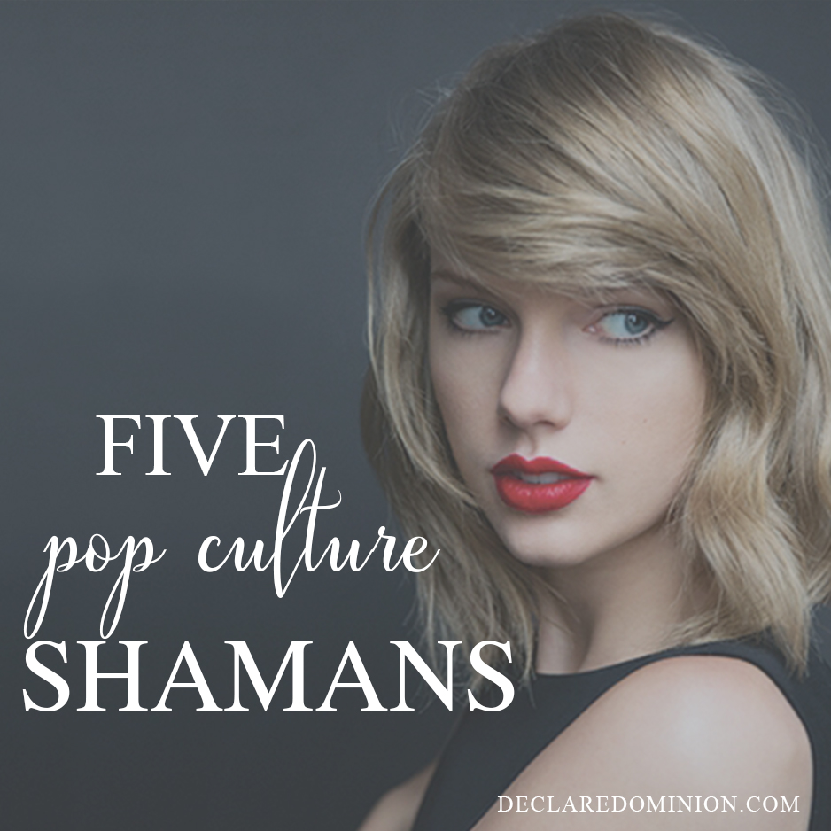 Pop Culture Shamans, pop culture gurus